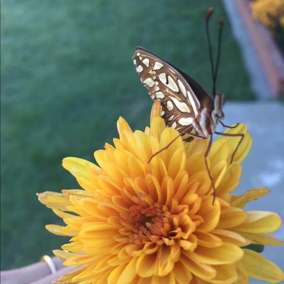 Meet your Posher, Jenna - Picture 1 of 1